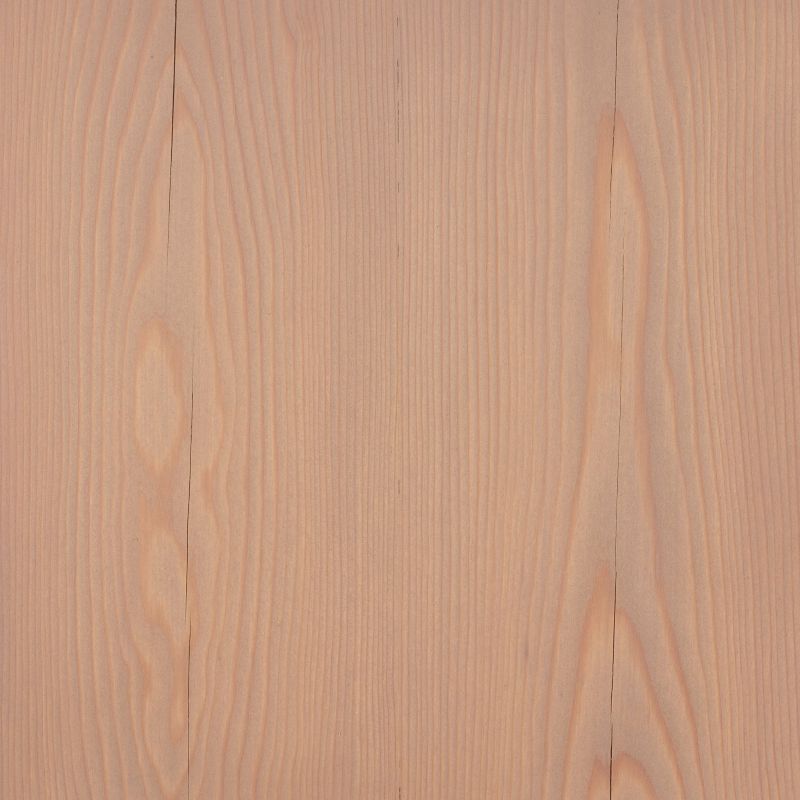 Larch