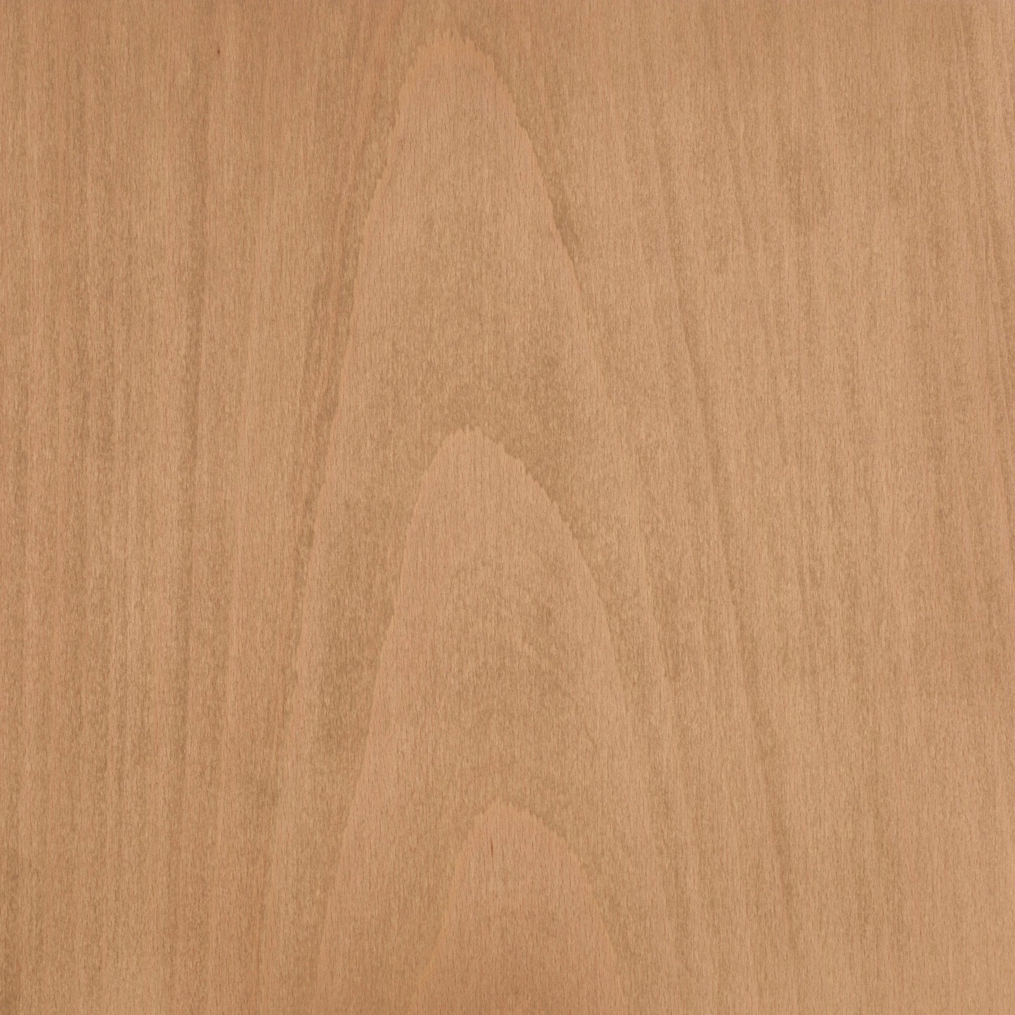 Beech