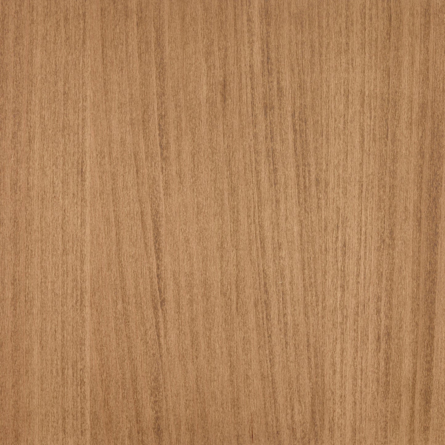 Beech