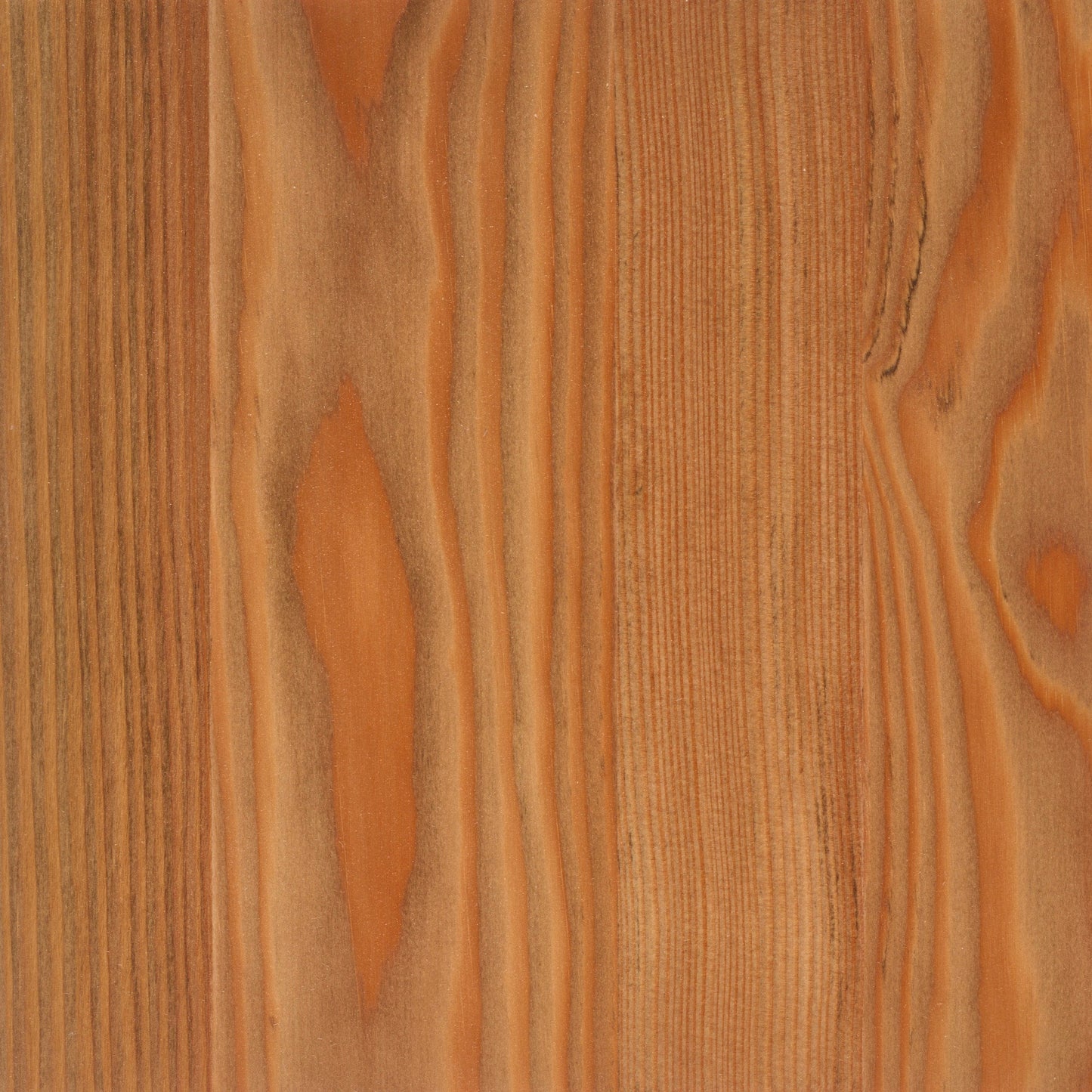 Larch