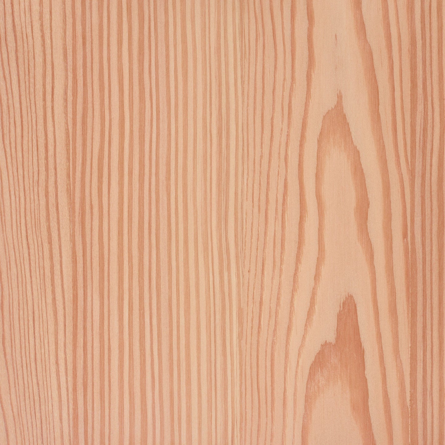 Larch