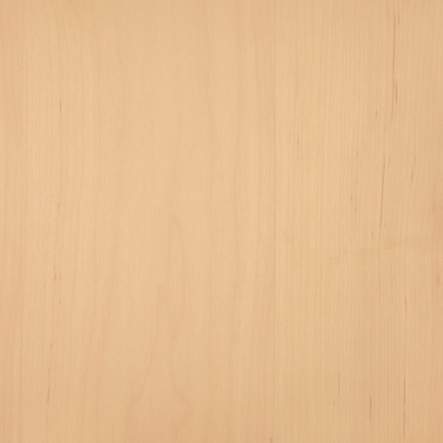 Maple