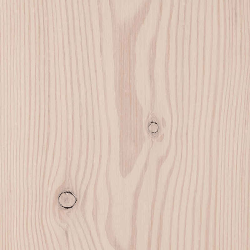 Larch